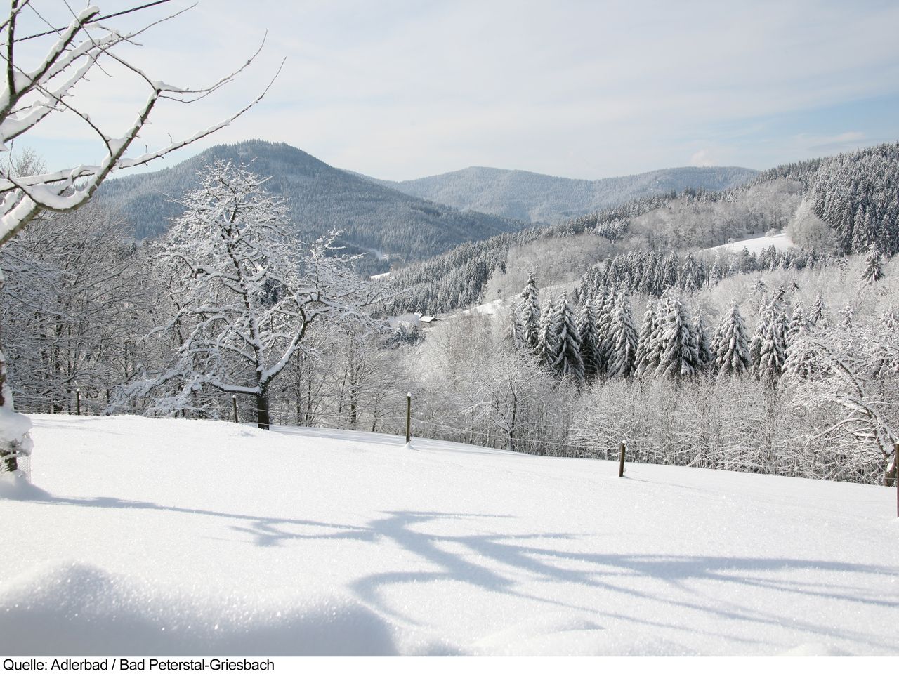 Flair Kurhotel Adlerbad