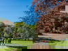 All Inclusive Auszeit im malerischen Harz