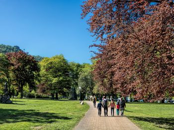 All Inclusive Auszeit im malerischen Harz