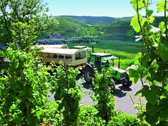 MOSEL-ERLEBNISWOCHE