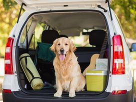 Urlaub mit Hund in der Rhein-Neckar Region - 3 Tage