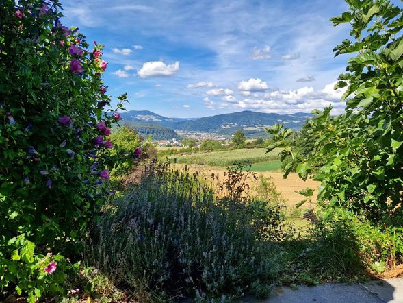 Hotel Hohe Flum
