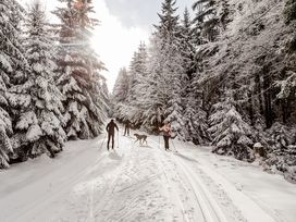 3 Tage Vogtland & Erzgebirge mit Halbpension Plus