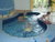 4 Tage Kurzurlaub mit AI im Marco Polo Alpina Familien & Sporthotel