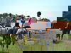 Kurzurlaub mit Reitstunde