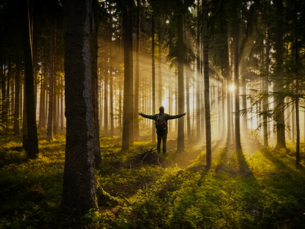 5 Tage Longevity Wellnessurlaub im Schwarzwald – 5 Nächte Tiefenentspannung & Vitalität in Waldachtal, Baden-Württemberg inkl. Halbpension