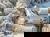3 Tage Winterurlaub im Harz
