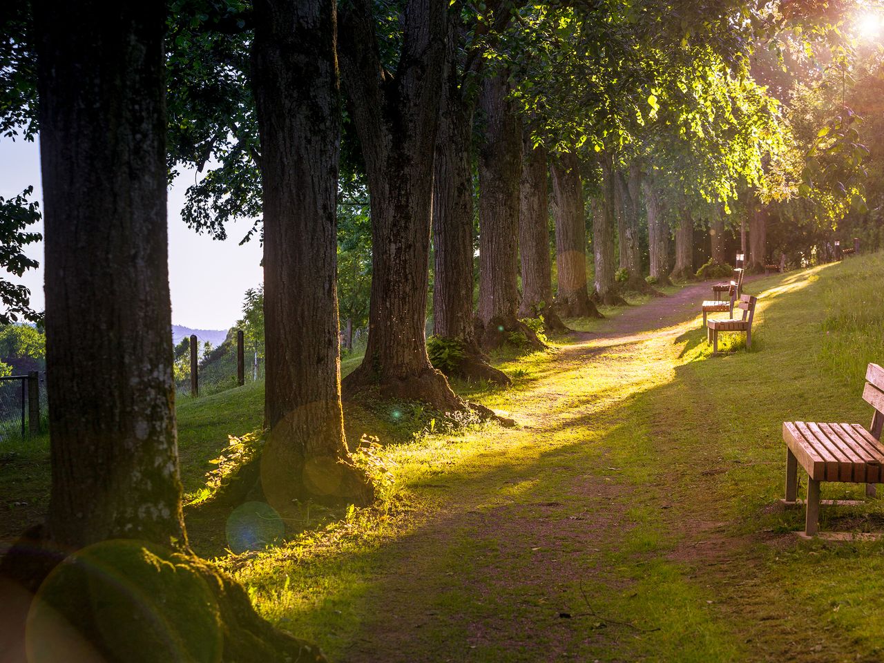 3 Tage Natur: Genuss und Erholung am Bodensee