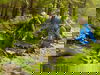 4 Tage Kurzurlaub im Bayerischen Wald