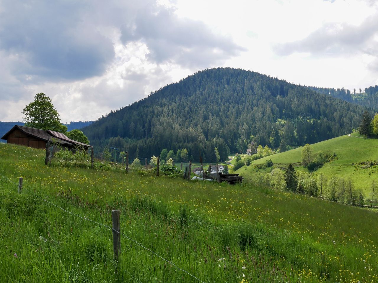 Die Große Auszeit im Schwarzwald