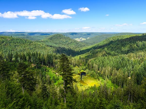 2 Tage Kurzurlaub mit Frühstück im Boutique Hotel Societe in Baden-Baden, Baden-Württemberg inkl. Frühstück