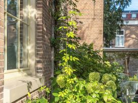 2 Tage im historischen Zentrum von Haarlem