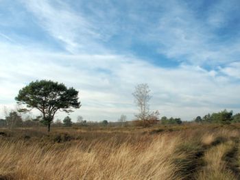 3 Tage Urlaub an der Niederländisch-Belgischen Grenze