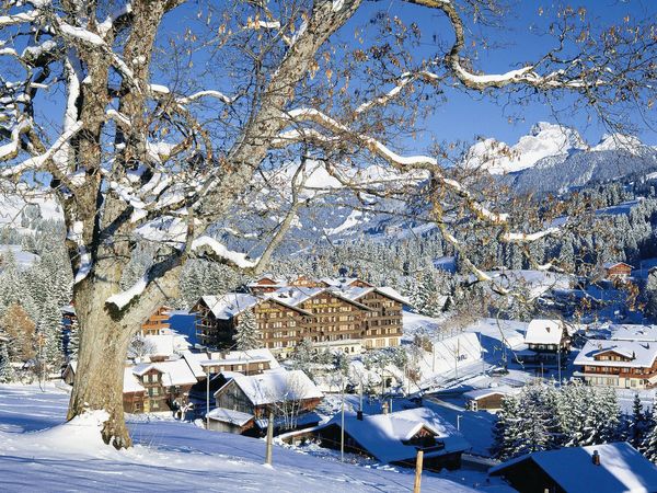 2 Tage Wellness und Erholung mit HP in Saanen, Bern inkl. Halbpension