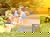 Zoo Rostock Tickets mit Hotel