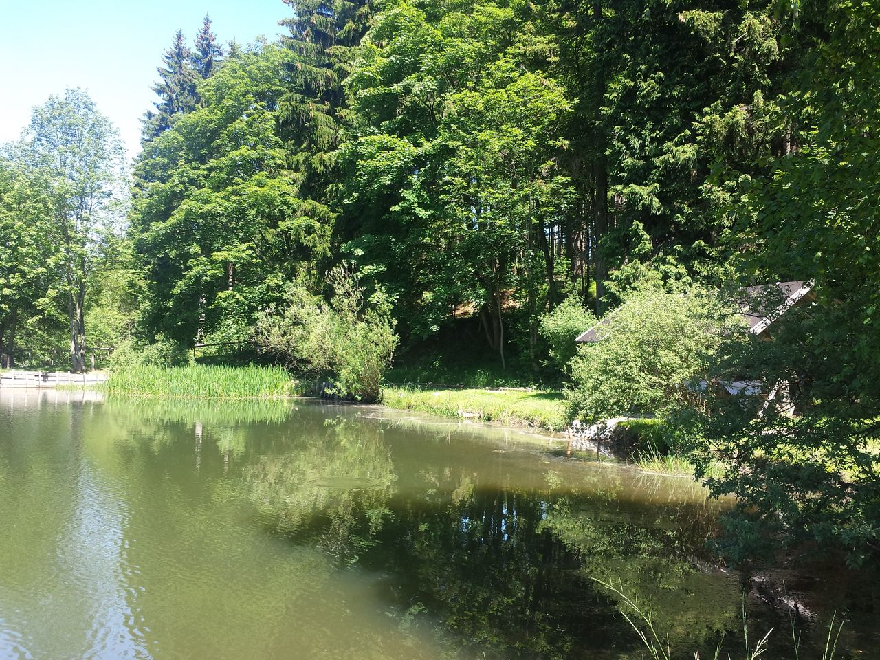 3 Tage Ferienspaß für die ganze Familie am Rennsteig