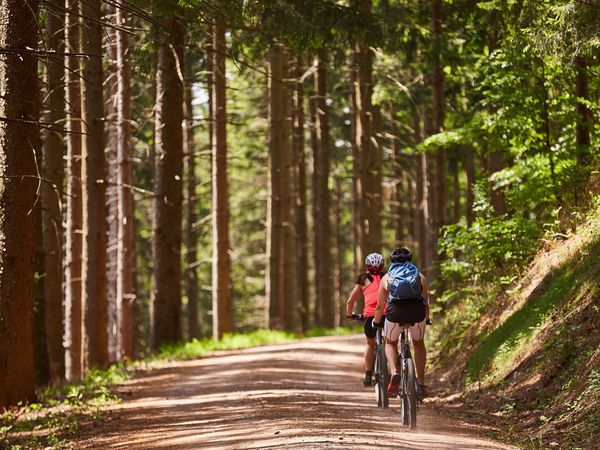 6 Tage - Midweek Special in Elzach-Oberprechtal, Baden-Württemberg inkl. Halbpension Plus