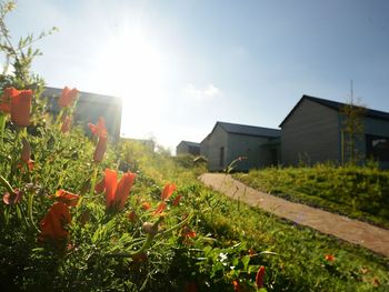 Relax AusZeit im Ferienhaus inkl. Massageanwendung