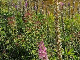 2 Tage in der jüngsten Stadt Rügens mit Frühstück