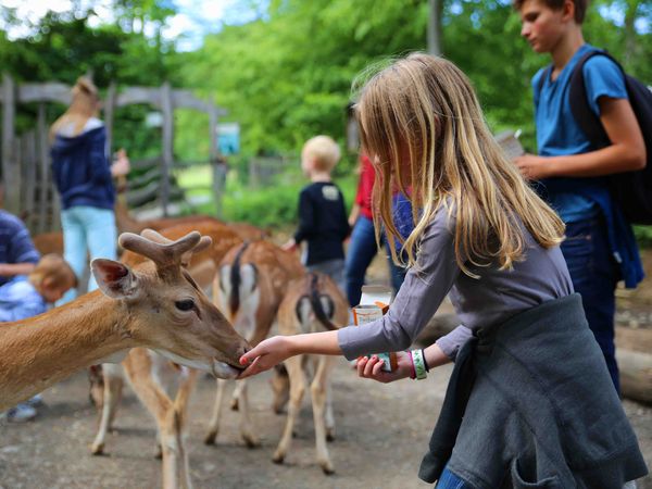 Wildpark erleben - Familienspaß in Bad Mergentheim Frühstück