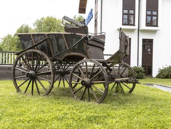 Sommertraum im Schwarzwald