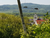 3 Tage Kurzurlaub mit Spargelgenuss am Kaiserstuhl