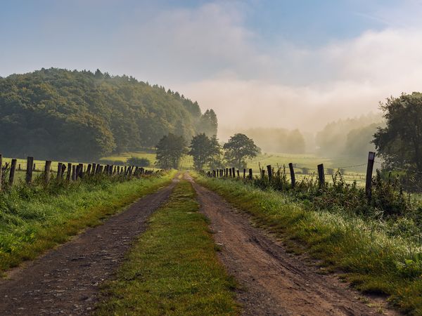 4Tage Best Western Plus Hotel Willingen mit Frühstück in Willingen (Upland)