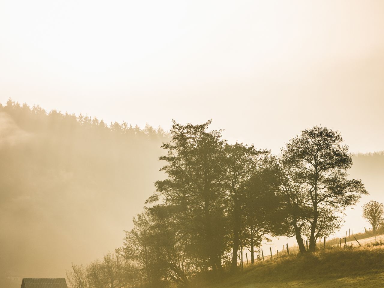 Erleben Sie Daaden im Westerwald I 4 Tage