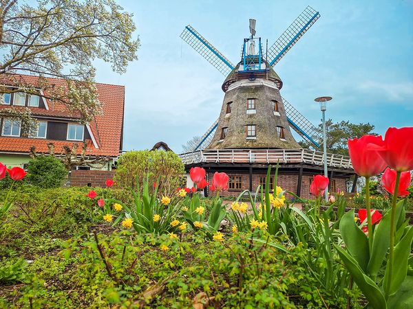Winterliche  Auszeit 3 Tage in Banzkow, Mecklenburg-Vorpommern inkl. Halbpension