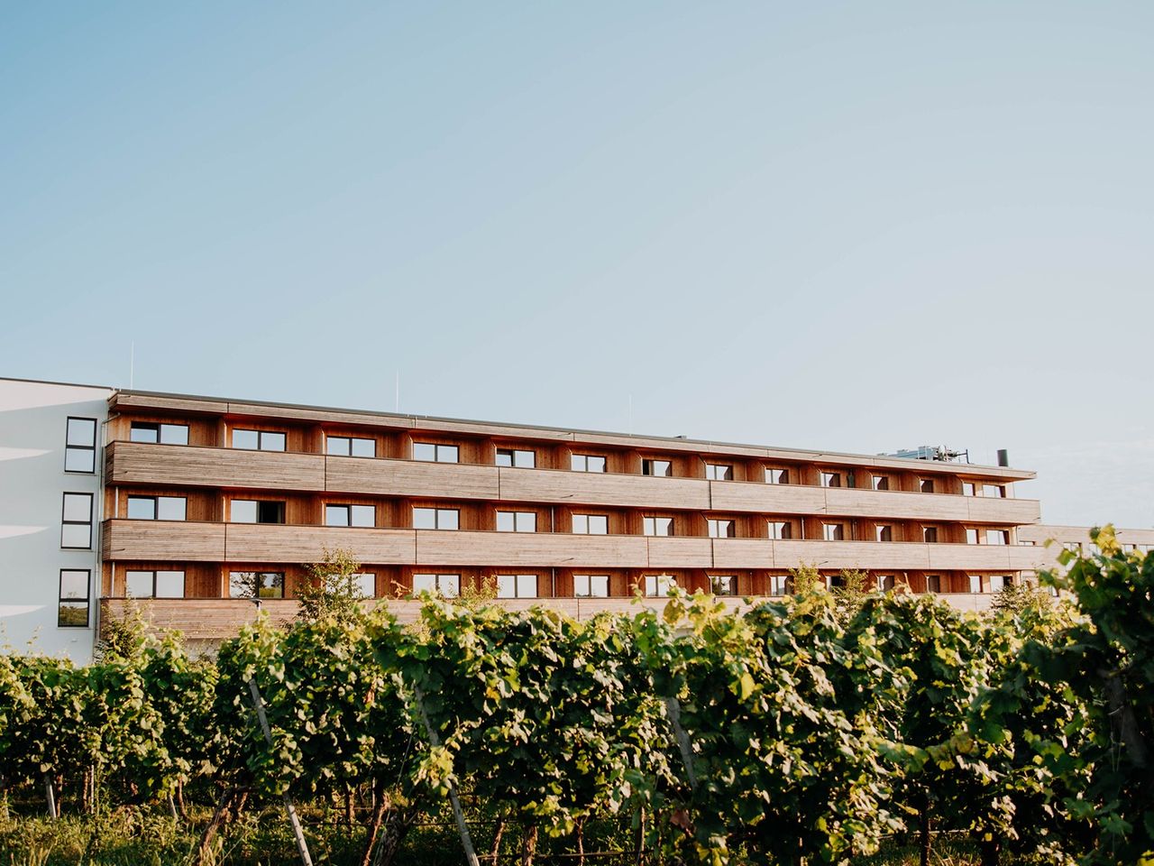 Golf & Genuss – Spiel mit Ausblick