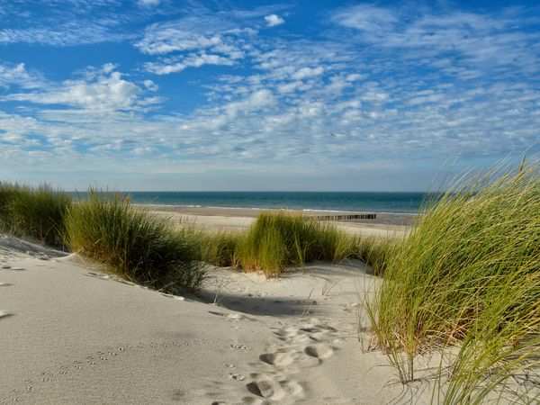 5 Tage Strandurlaub im beliebten Badeort Renesse  Fletcher Strandhotel Renesse, Zeeland inkl. Halbpension