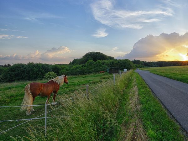 5 Tage Wanderspaß im Bergischen Land mit Halbpension in Windeck, Nordrhein-Westfalen inkl. Halbpension