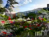 Wellness im Schwarzwald - das Aquasol Rottweil | 3 T