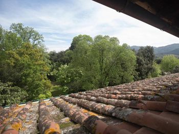 Italienische Eleganz - 7 Tage in Lucca mit Frühstück