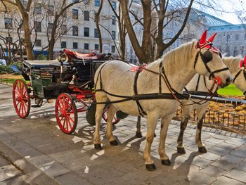 2 Tage im Hotel Terminus mit Frühstück