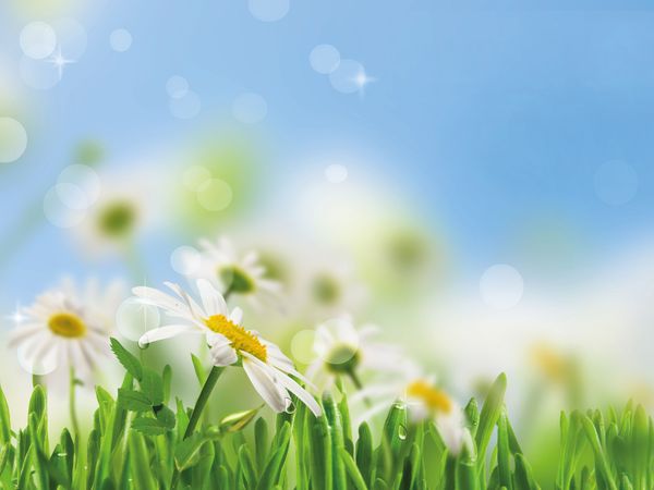 4 Tage Himmelfahrts-Urlaub im Thüringer Wald in Finsterbergen (Friedrichroda), Thüringen inkl. Halbpension Plus