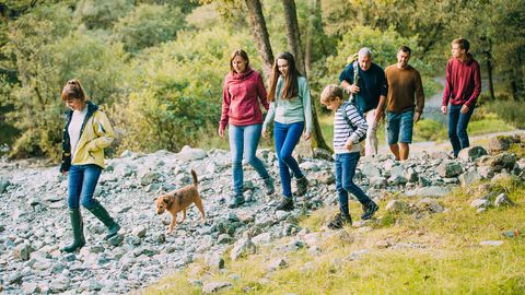 Wellness Wochenende mit Hund