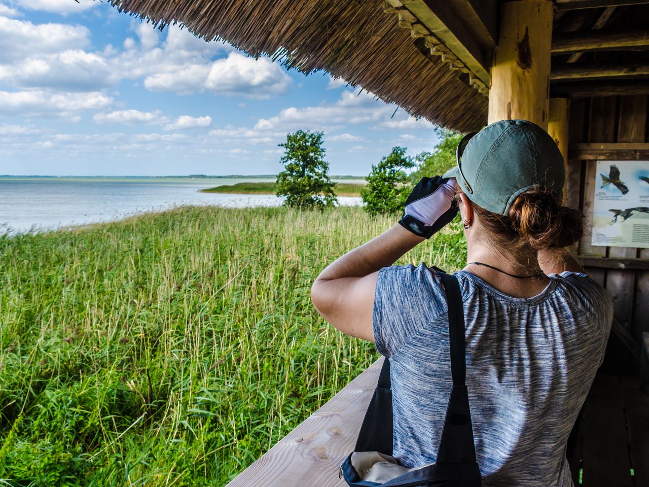 Wandertage an der Seenplatte