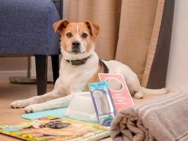 2 Tage im Hotel Mercure Aachen Europaplatz