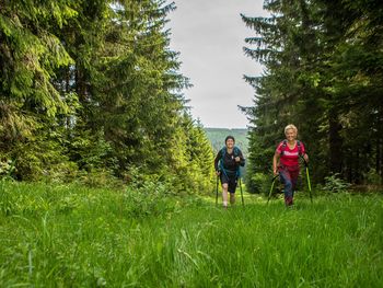 5 Tage Kurzurlaub in Wernigerode