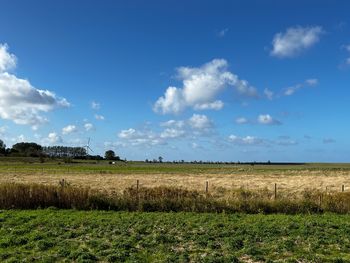 Frische Nordsee-Brise