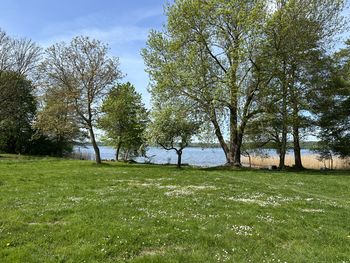 8 Tage inmitten der Natur - Seehotel mit Flair