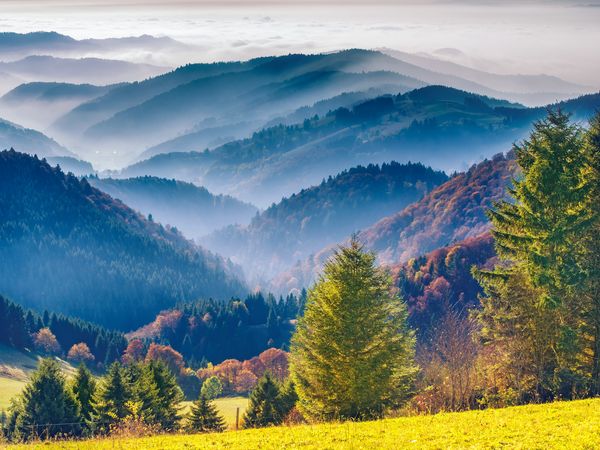 9 Tage im Waldeck SPA Kur-und Wellness mit Frühstück in Bad Dürrheim, Baden-Württemberg inkl. Frühstück