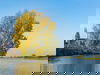 5 Tage Wellness & Ruhe im grünen Herzen Brabants