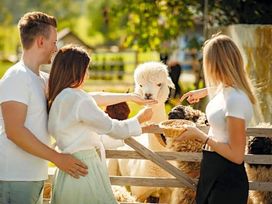 Auszeit im oststeirischen Bergland - 4 Tage