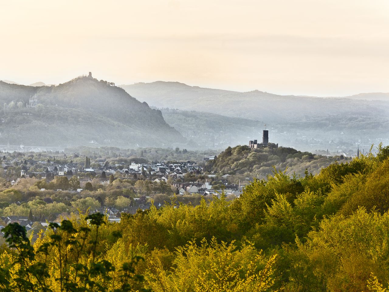 Bonn entdecken