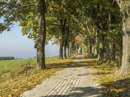 Familien-Erlebnis Zwickau & Erzgebirge - 3 Tage