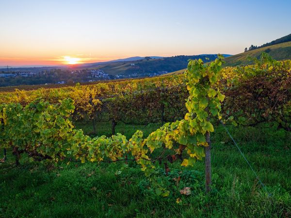 Auf in den Sattel – Radl-Spaß im Taunus  | 3 Tage in Taunusstein Frühstück