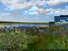5 Tage Papenburg mit Hund - Emsland entdecken