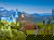 Familien-Urlaubswoche im veg. Bio-Resort 8 Tage